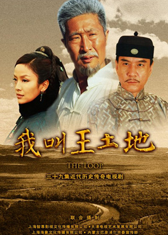 我叫王土地封面图