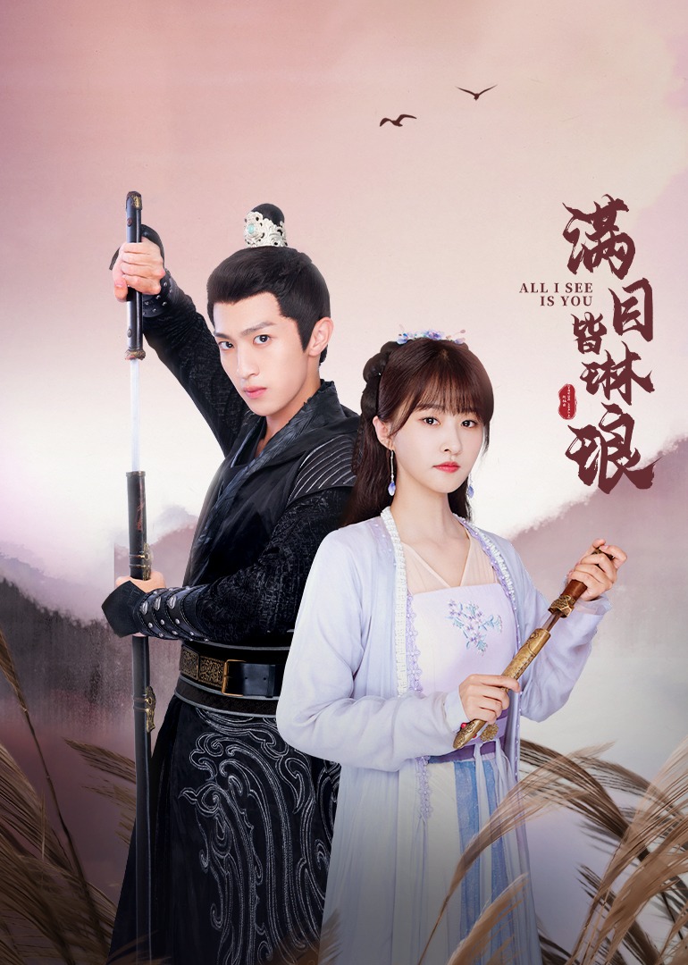 满目皆琳琅封面图