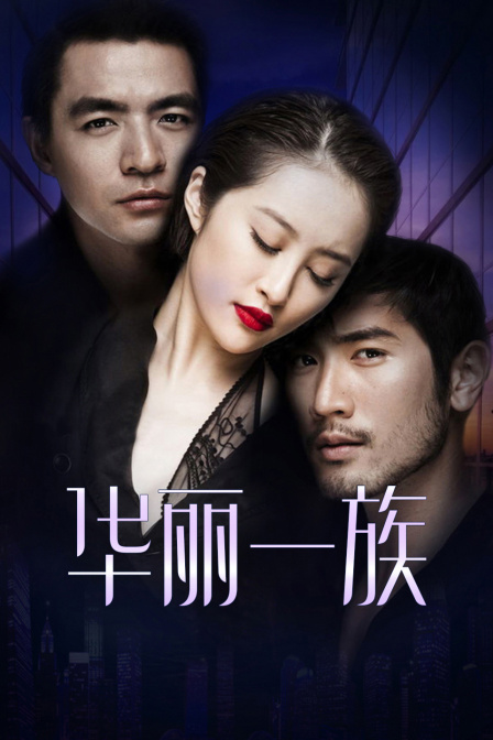 华丽一族 DVD版封面图