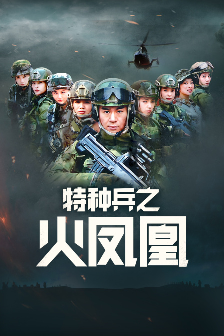 特种兵之火凤凰 DVD版封面图