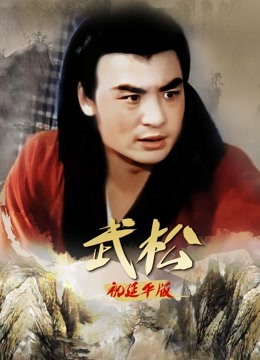 武松祝延平版封面图