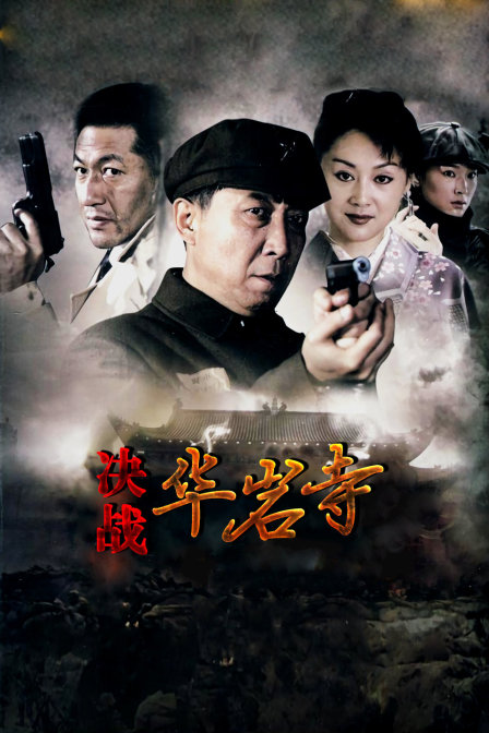 决战华岩寺封面图