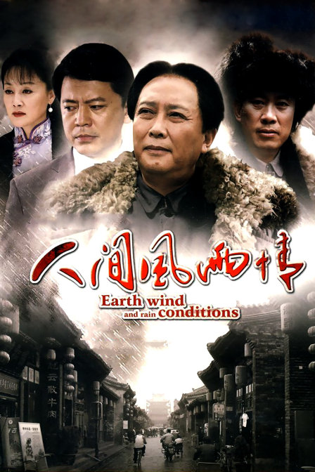 人间风雨情封面图