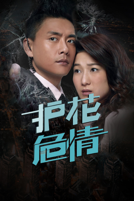 护花危情封面图