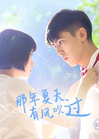 那年夏天有风吹过封面图