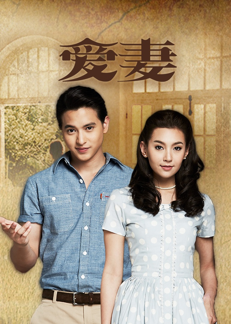 爱妻（普通话）封面图