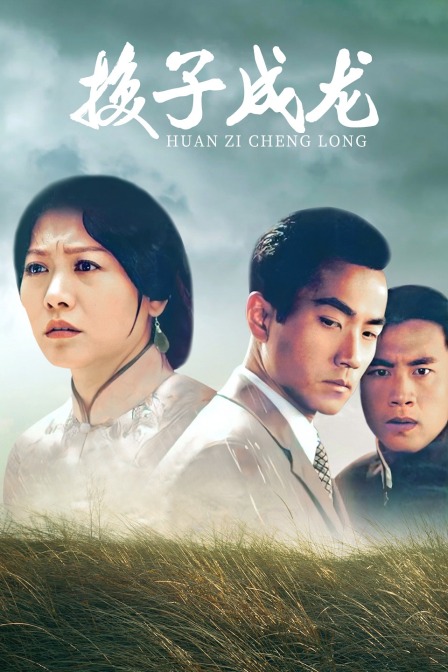 换子成龙封面图