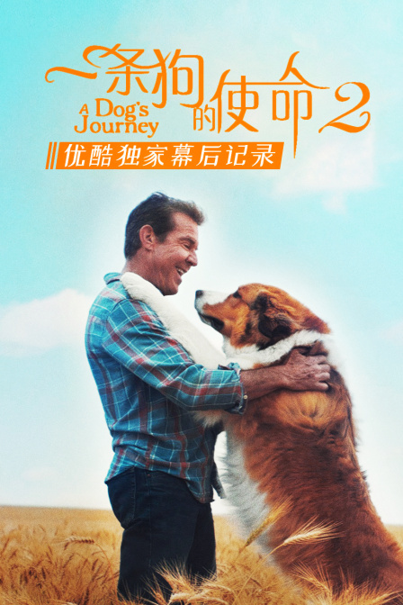 《一条狗的使命2》优酷独家幕后记录封面图