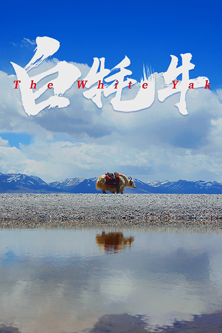白牦牛封面图