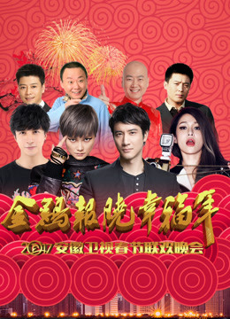 2017安徽卫视春晚封面图