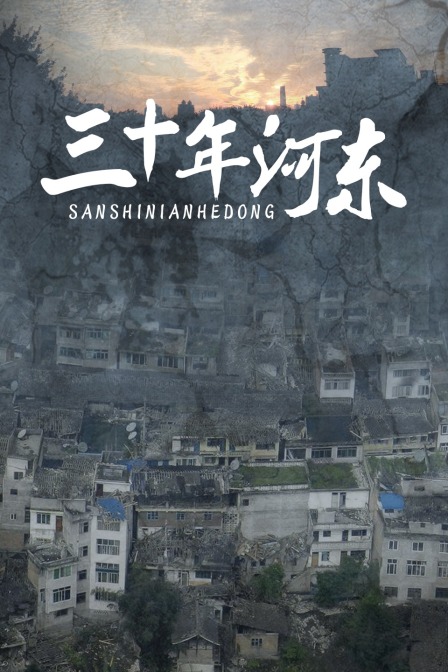 三十年河东封面图