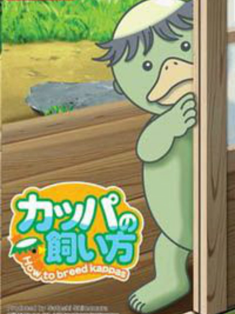 河童的饲养方法封面图