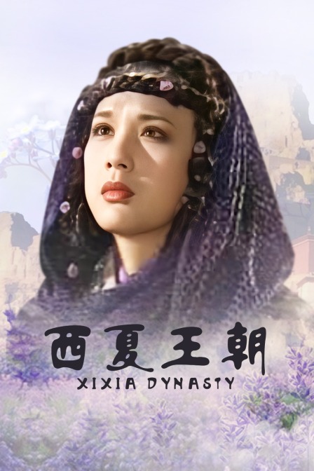 西夏王朝封面图