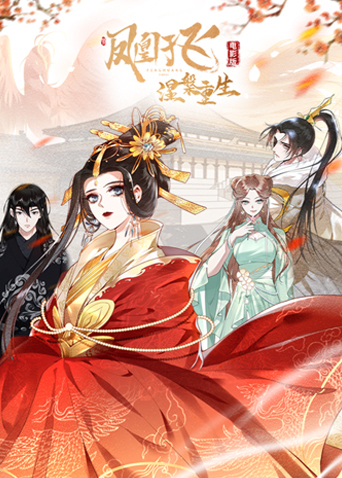 凤凰于飞 电影版封面图