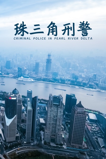 珠三角刑警封面图