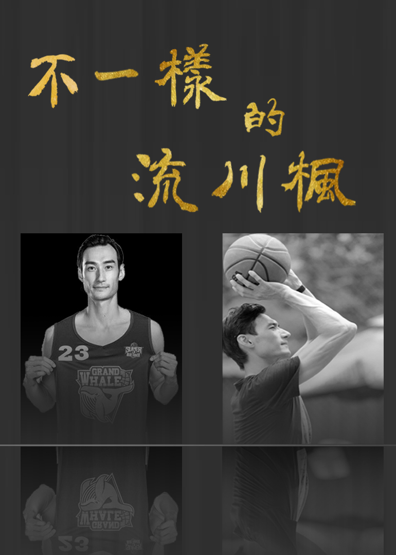 不一样的流川枫封面图