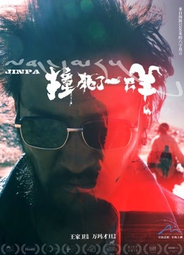 撞死了一只羊封面图