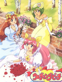 爱天使传说封面图