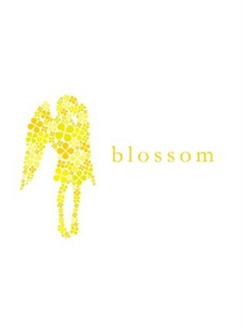 Blossom封面图