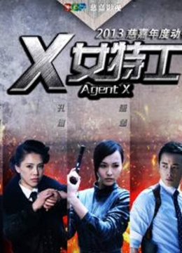 安徽卫视《X女特工》首映礼封面图