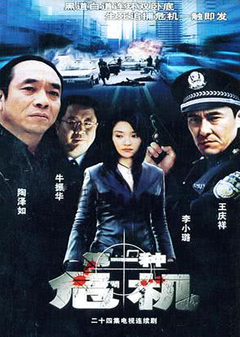 第一种危机封面图