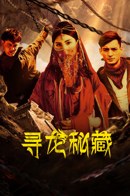 寻龙秘藏封面图