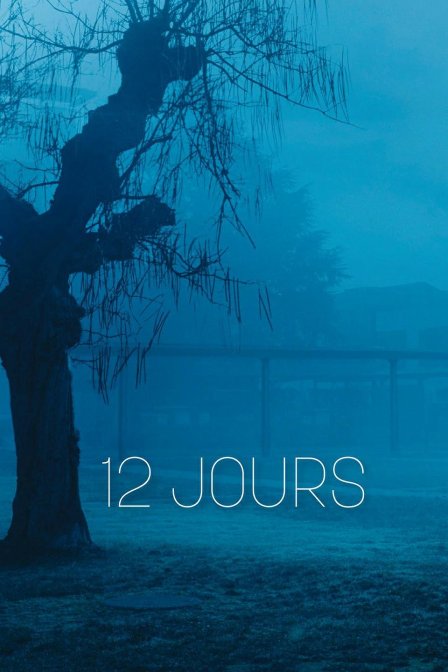 精神病院12天封面图