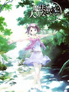 魔法使的注意事项封面图