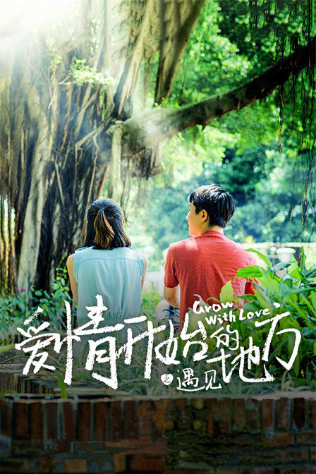 爱情开始的地方之遇见封面图