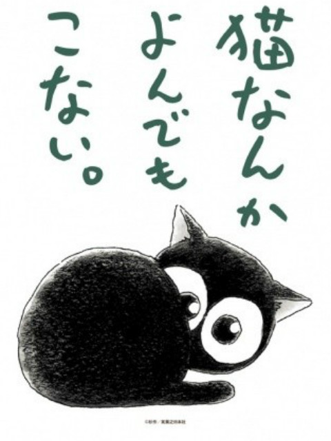 为什么猫都叫不来封面图