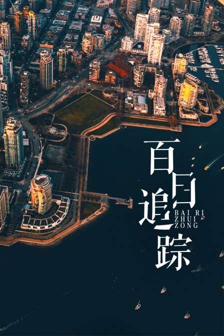 百日追踪封面图