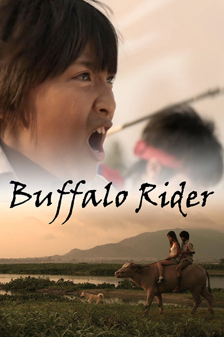 水牛骑士封面图