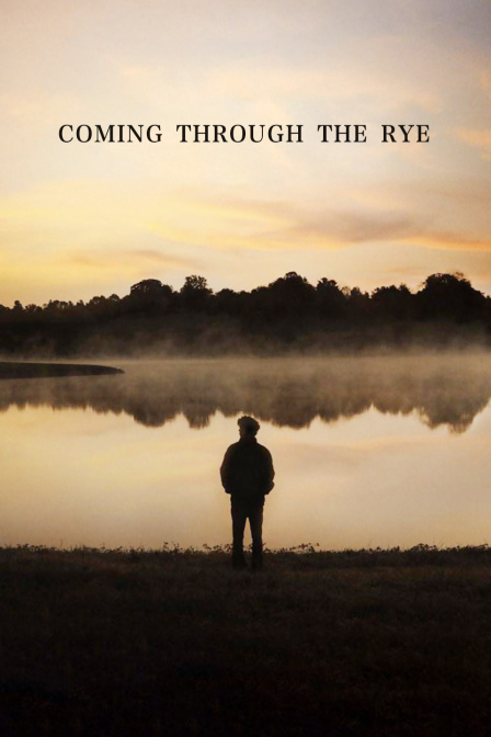 穿越麦田封面图