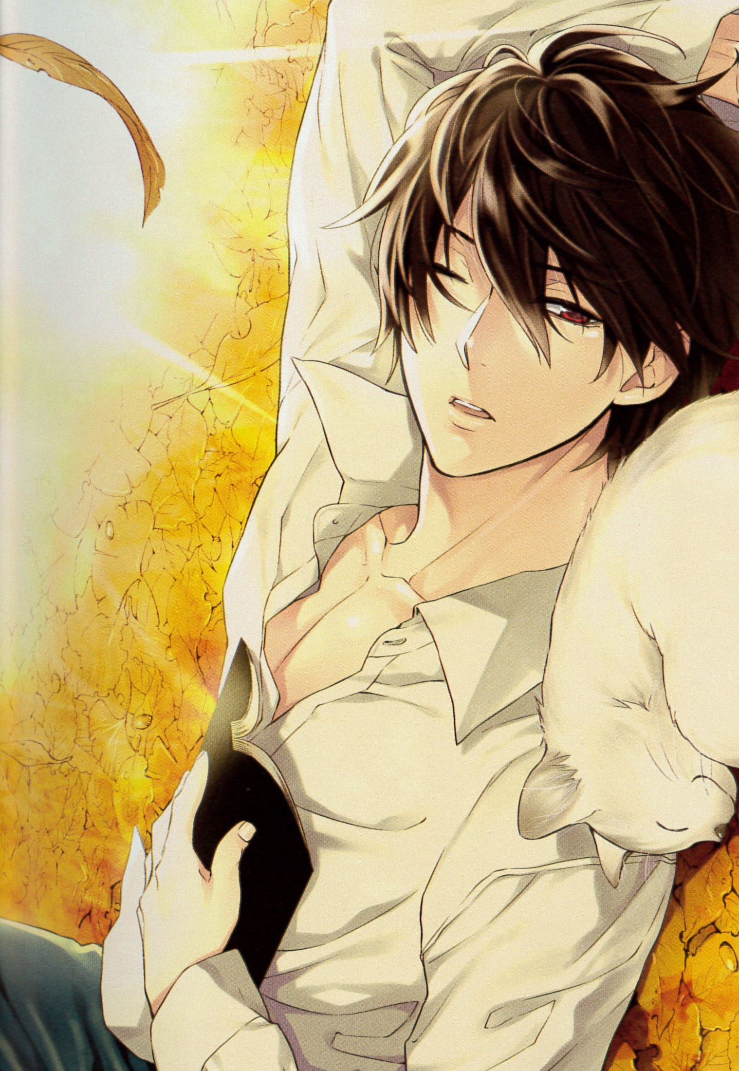 心灵侦探八云封面图