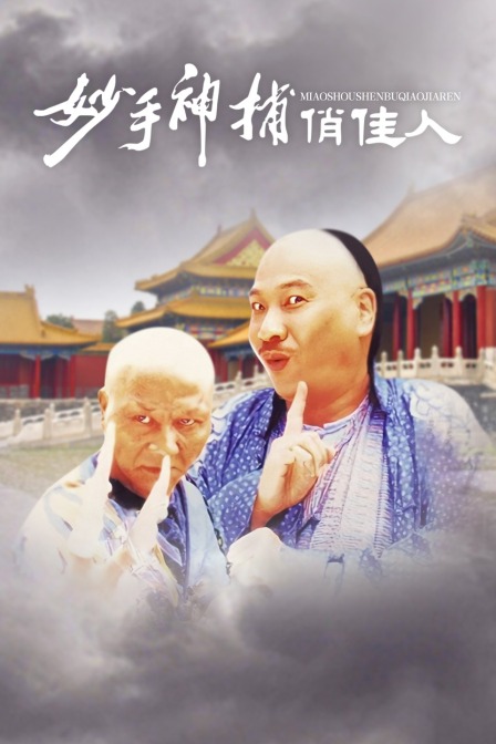 妙手神捕俏佳人封面图