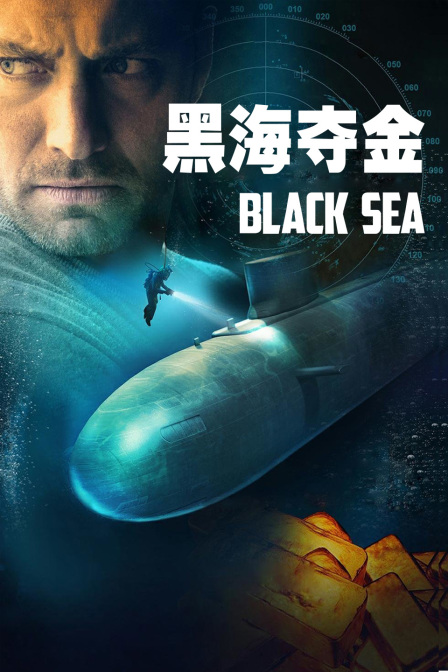 黑海夺金封面图
