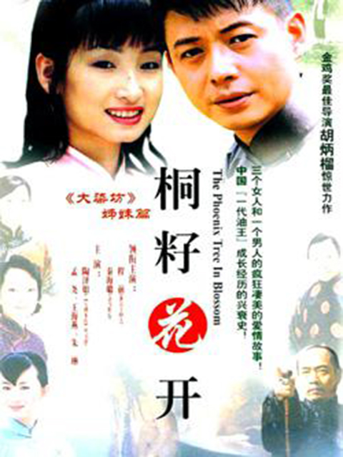 桐籽花开封面图