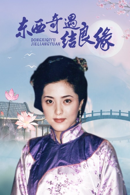 东西奇遇结良缘封面图