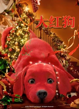 大红狗封面图