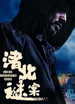 渚北谜案封面图