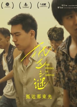 抵达之谜封面图