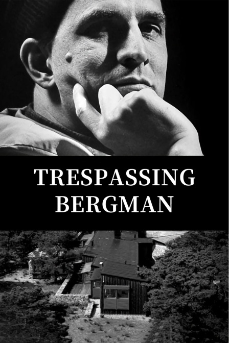 打扰伯格曼封面图