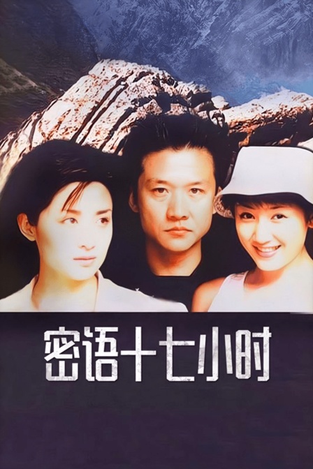 密语十七小时封面图