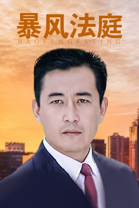 暴风法庭封面图