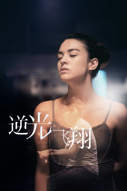 逆光飞翔封面图