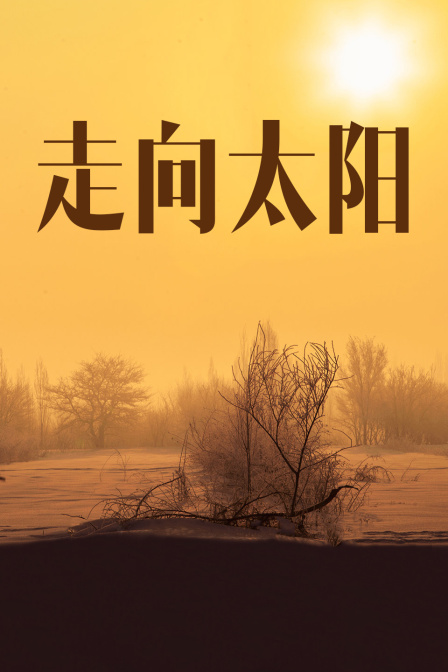 走向太阳封面图