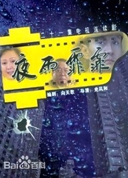 夜雨霏霏封面图