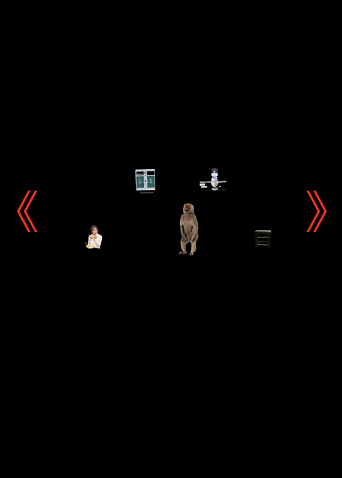 。ﾟoﾟ。封面图