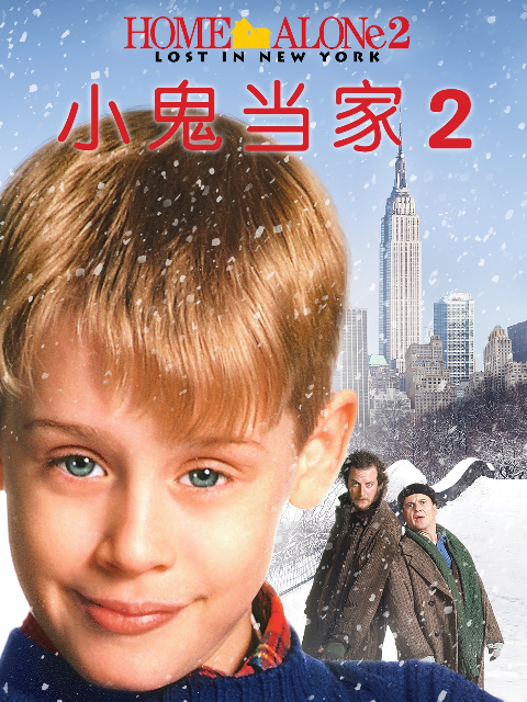 小鬼当家2封面图