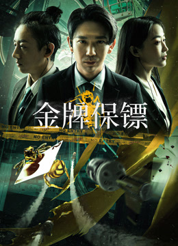 金牌保镖封面图
